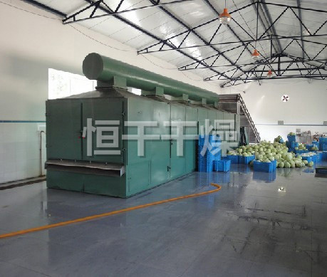 DWC系列脱水蔬菜带式干燥机