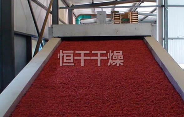 DWC系列脱水蔬菜带式干燥机