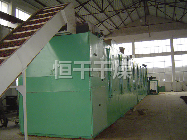 DWC系列脱水蔬菜带式干燥机